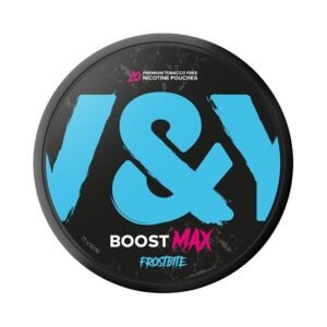V&YOU Boost Max Frostbite | Sterke Nicotinezakjes