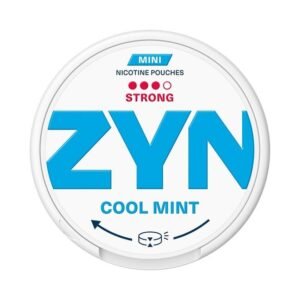 ZYN Cool Mint Mini Strong